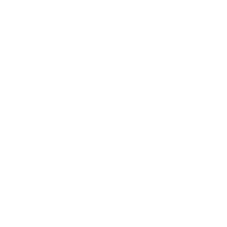 Holistic Healing